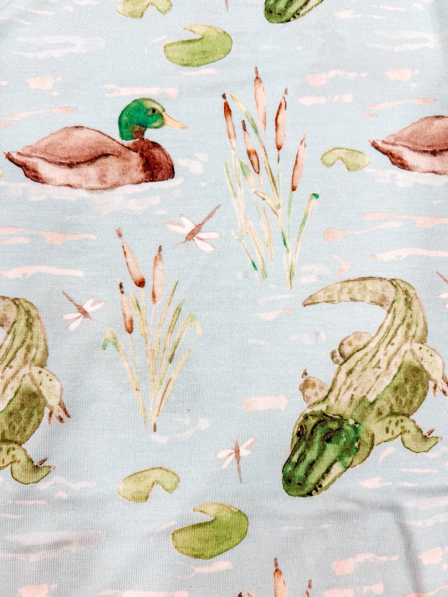 Duck/Alligators