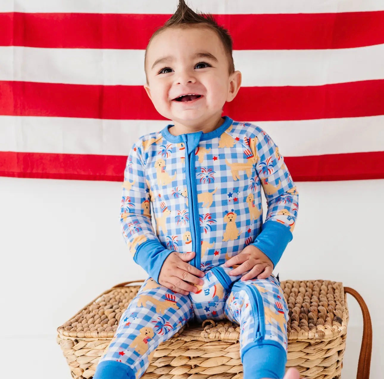 Yankee Doodle Zippy